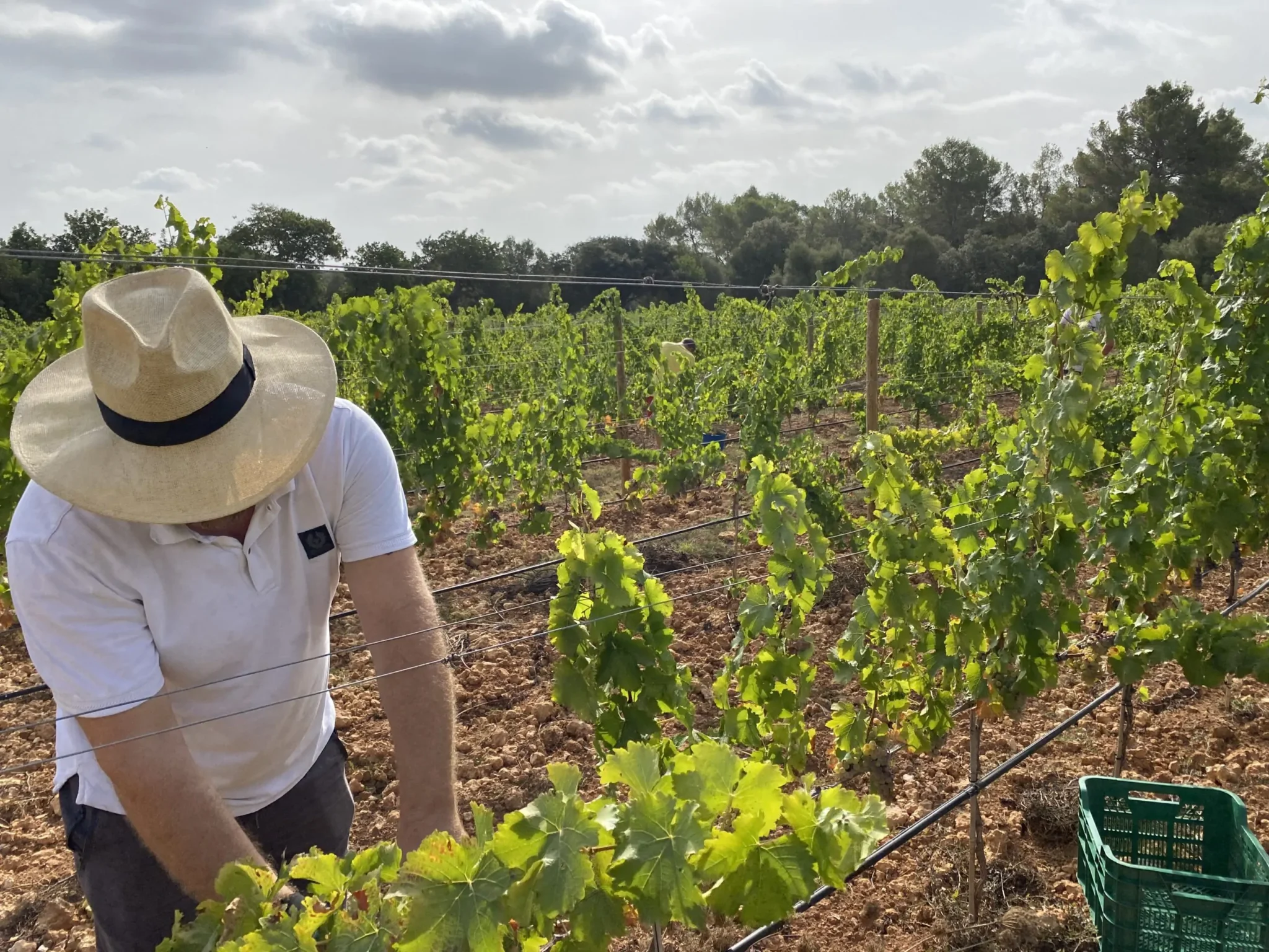 4F3D521C-7B5F-4B50-AA0F-F4BDD3E4BC30-scaled