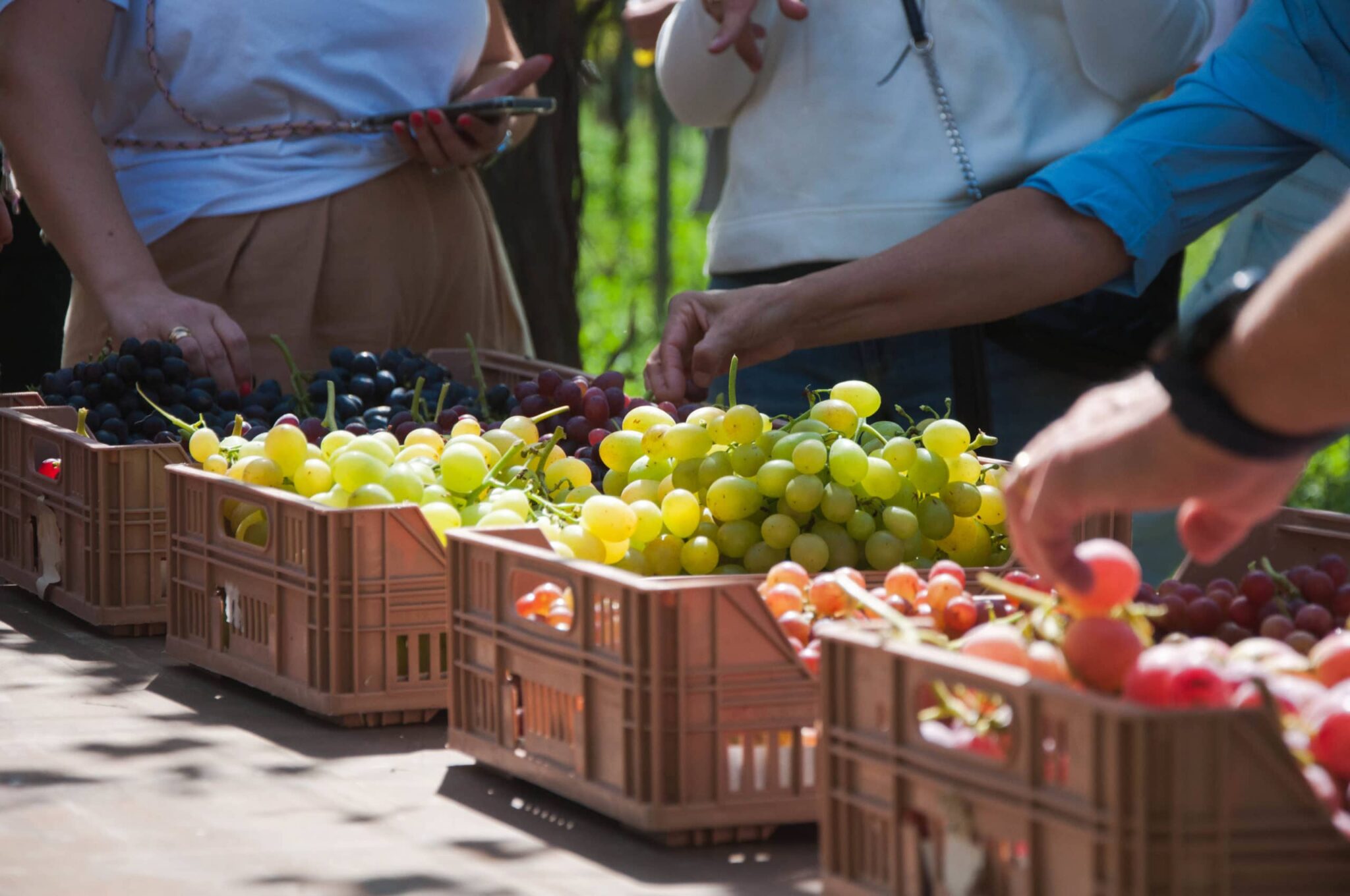 tourcarla092020-53-scaled