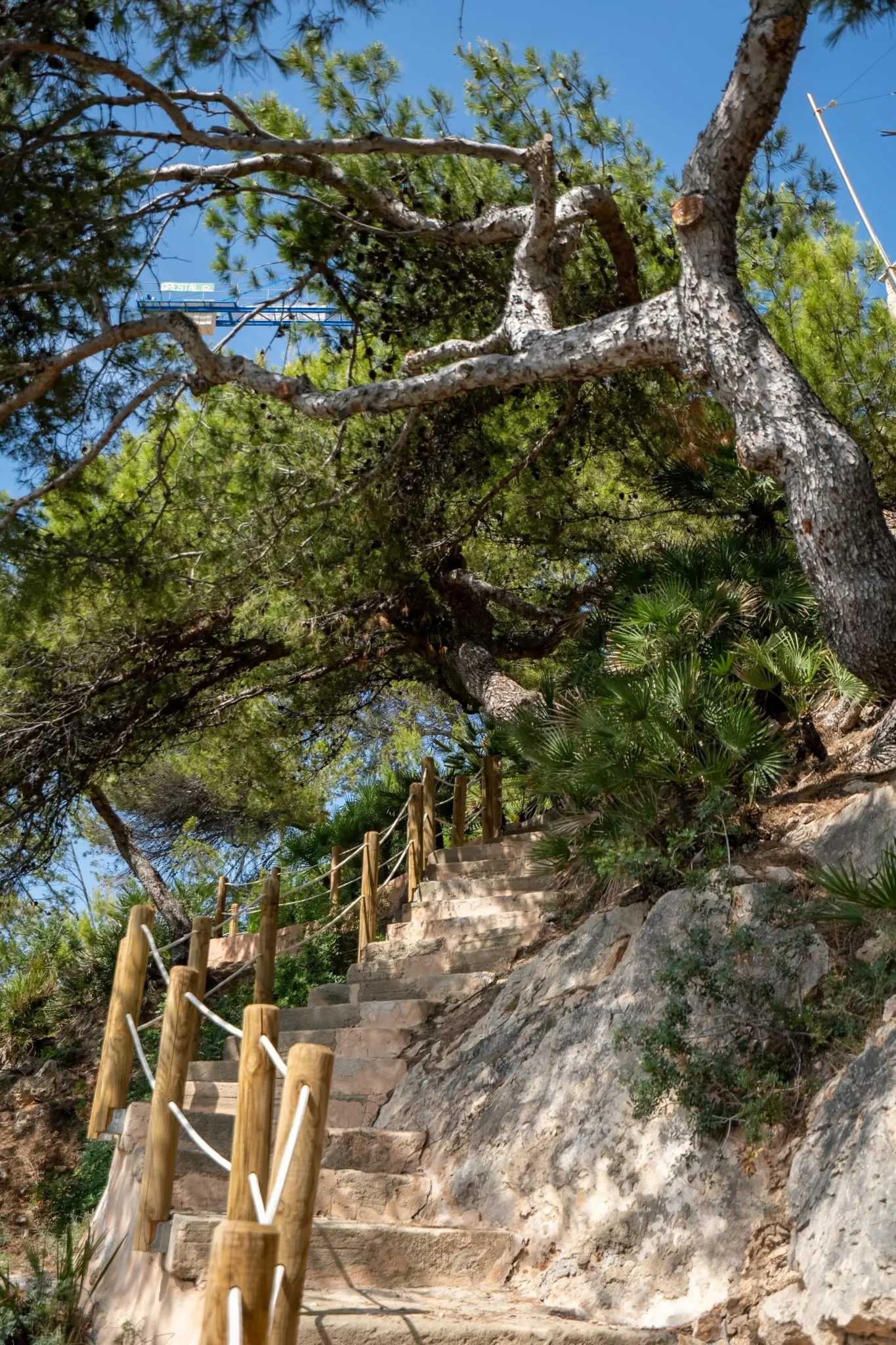 villa-white-pearl-andratx-direct-sea-access