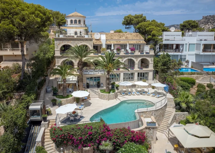 12bd29ab-b8e3-4fda-9c24-1ed481a0c6cb-large