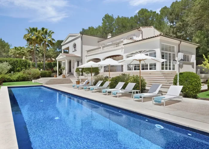 2d4a8845-1678-4390-b5d1-c85386e697db-large