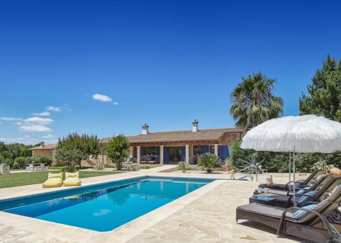 2ffb644d-f428-4c5b-8668-a3e5f029b947-large